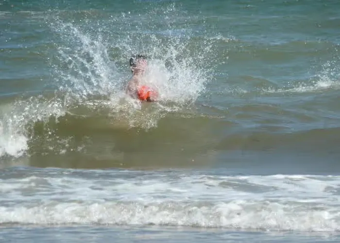 Hoffarth 1 Apartament *